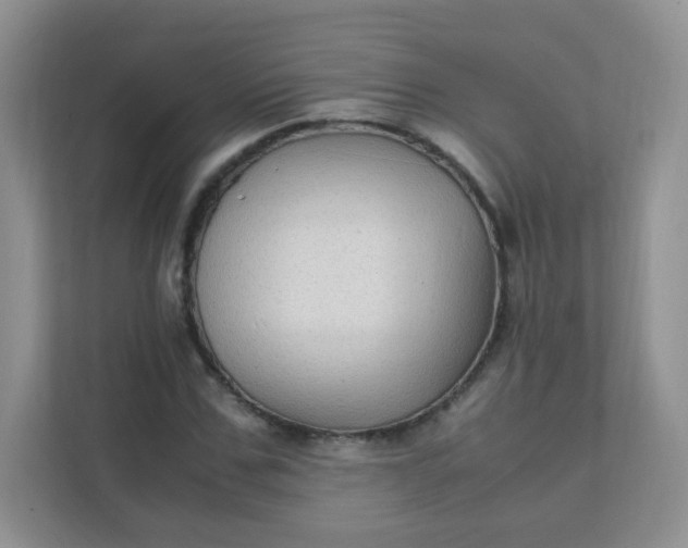 X0000111600971200907301443