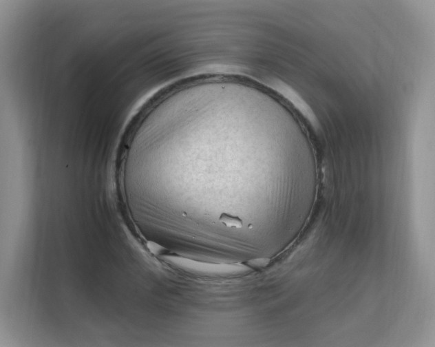 X0000111600972200907301443