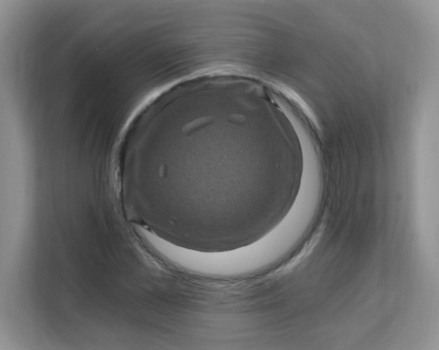 X0000111600973200907301443