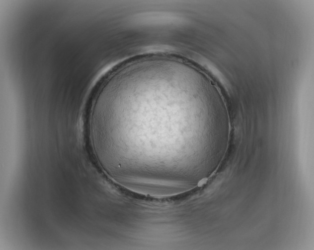X0000111600975200907301443