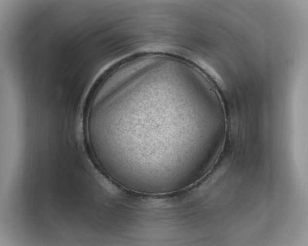 X0000111600976200907301443