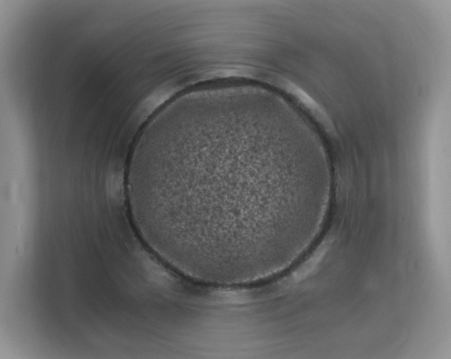 X0000111600977200907301443