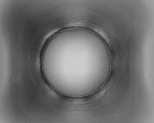 X0000111600979200907301443