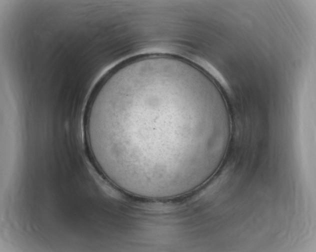 X0000111600980200907301443