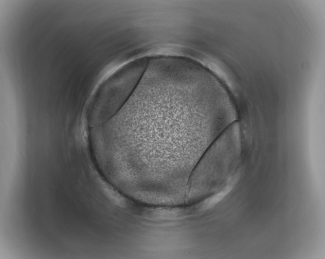 X0000111600981200907301443