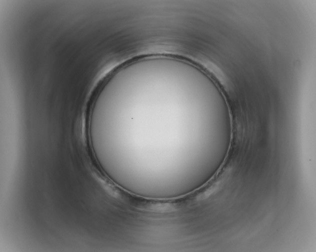 X0000111600982200907301443