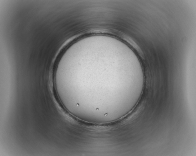 X0000111600984200907301443