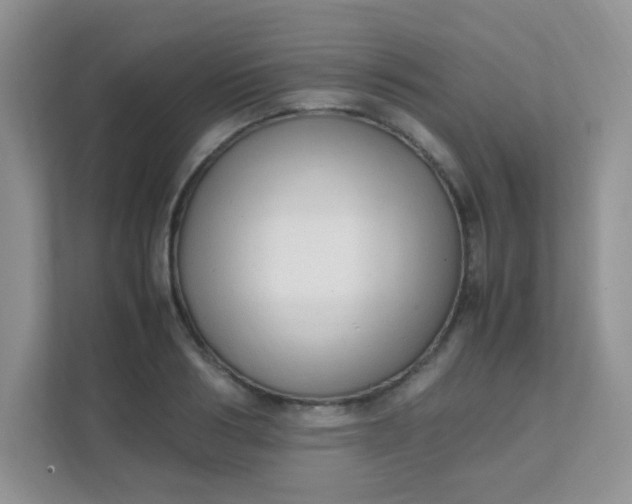 X0000111600986200907301443