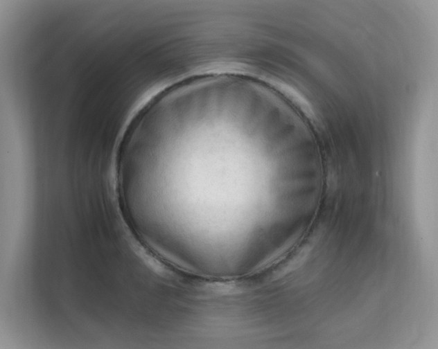 X0000111600990200907301443