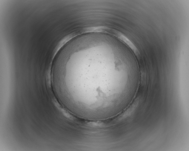 X0000111600994200907301443