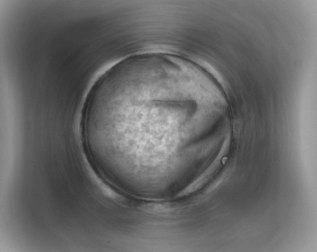 X0000111600995200907301443