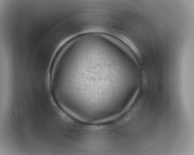 X0000111600996200907301443