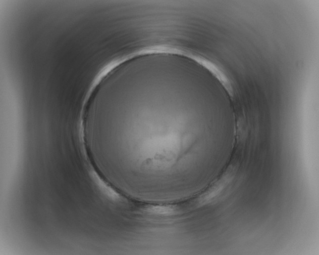 X0000111600998200907301443