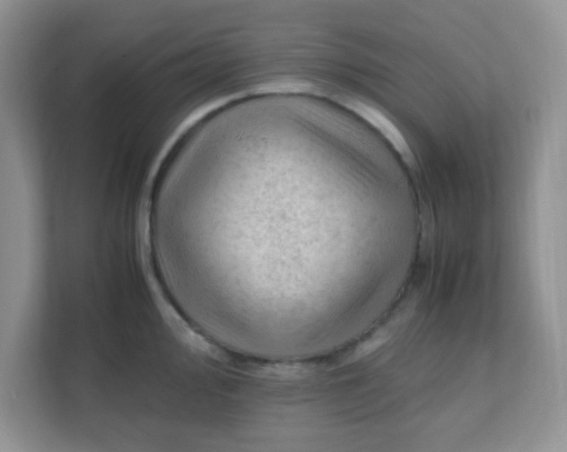X0000111601000200907301443