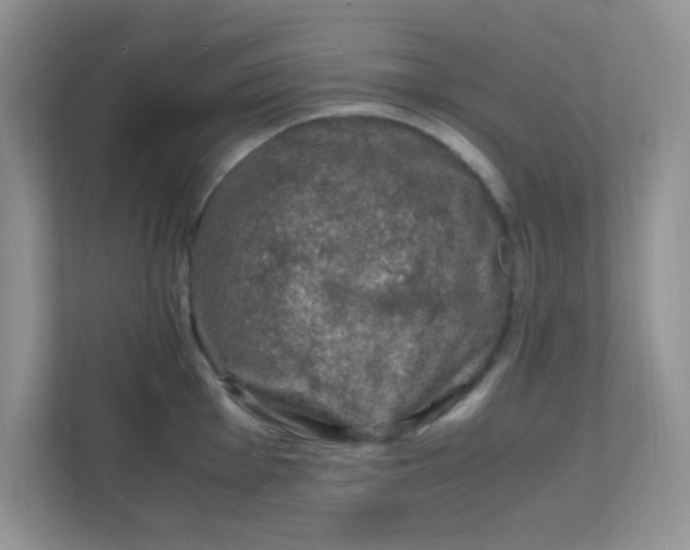 X0000111601001200907301443