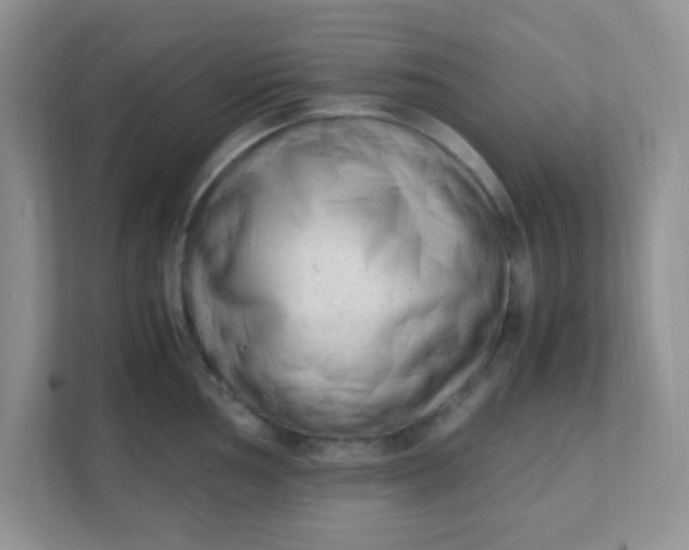 X0000111601002200907301443