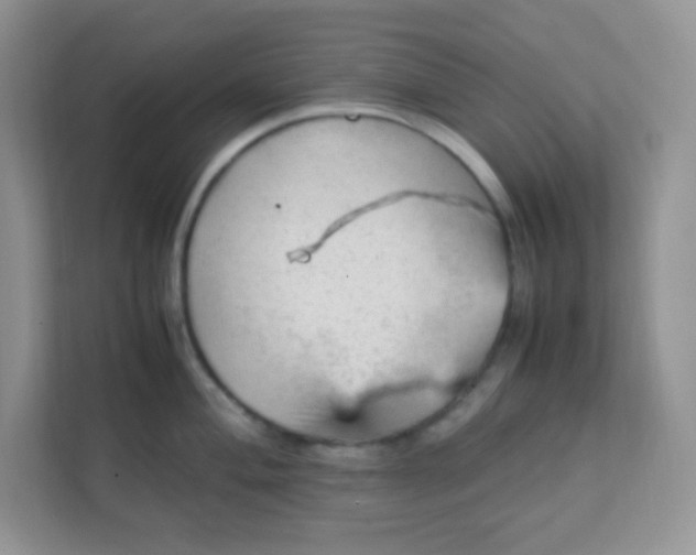 X0000111601004200907301443