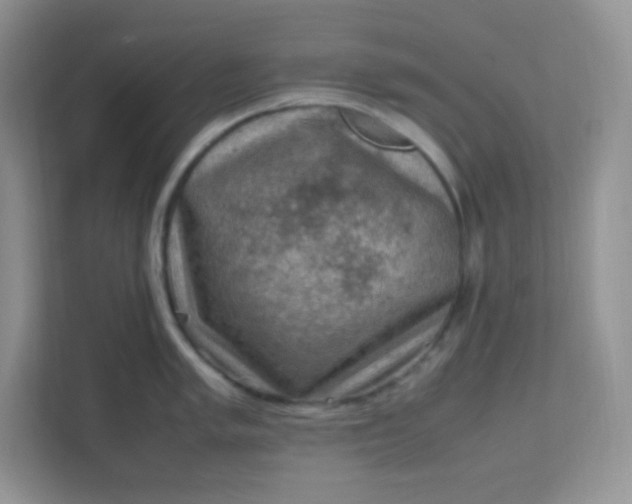 X0000111601005200907301443