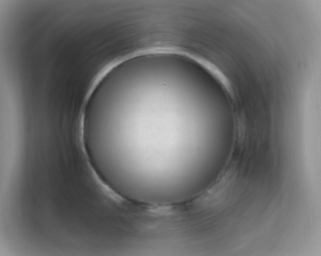 X0000111601006200907301443