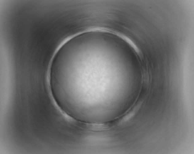 X0000111601007200907301443