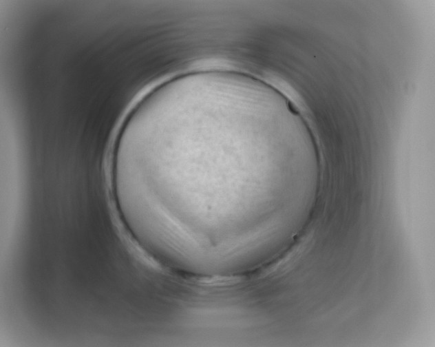X0000111601008200907301443