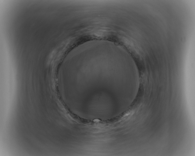 X0000111601009200907301442