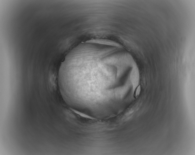 X0000111601010200907301442
