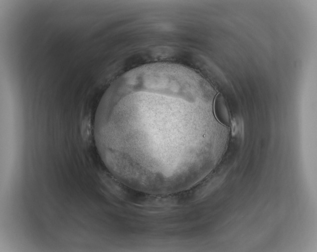 X0000111601011200907301442