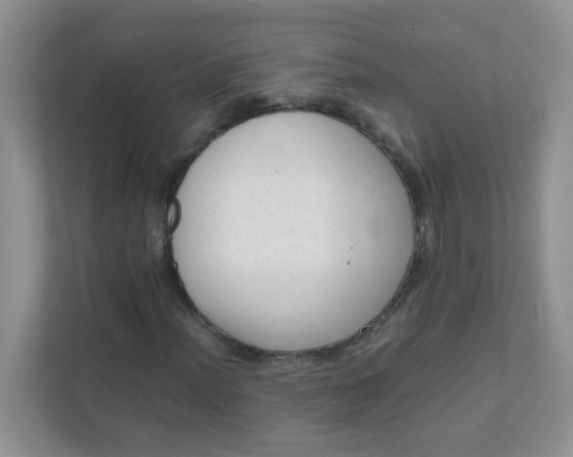 X0000111601012200907301442