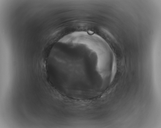 X0000111601013200907301442