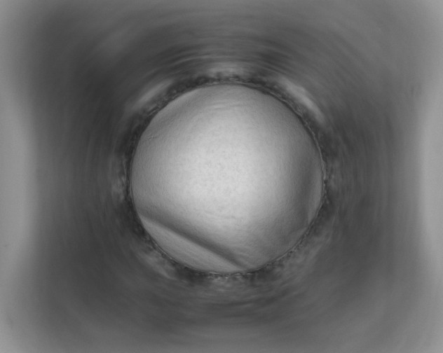 X0000111601015200907301442