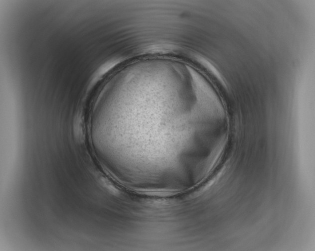 X0000111601018200907301442