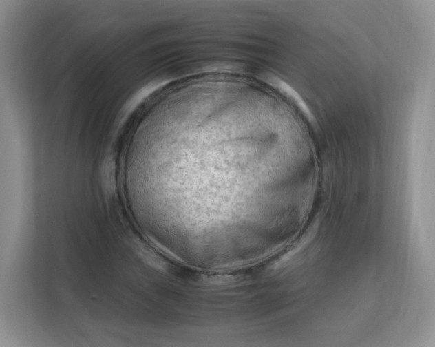 X0000111601019200907301442