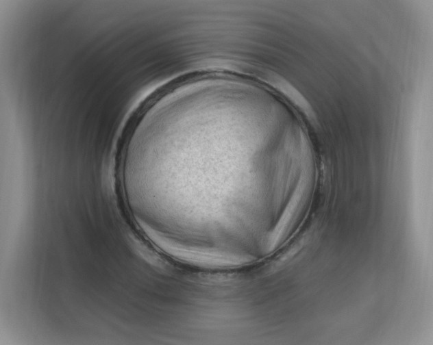 X0000111601020200907301442