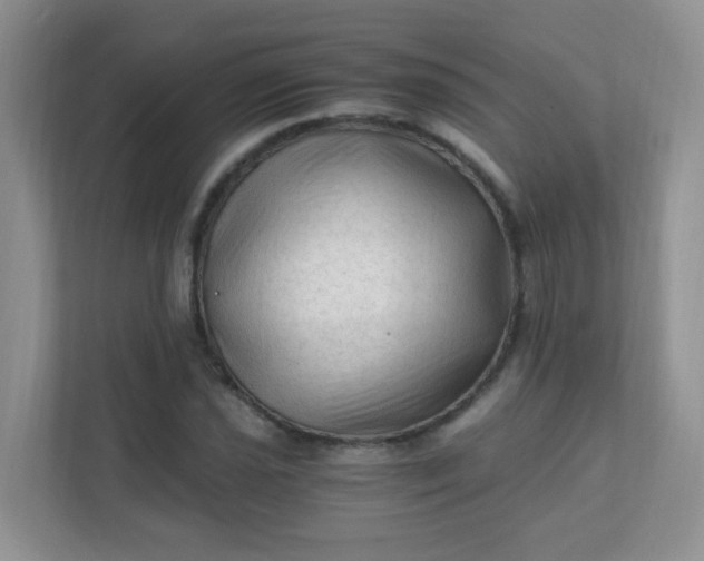X0000111601021200907301442
