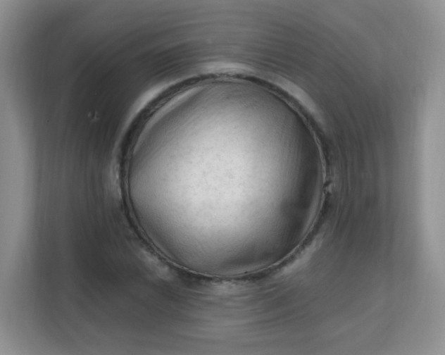 X0000111601022200907301442