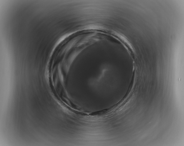 X0000111601024200907301442