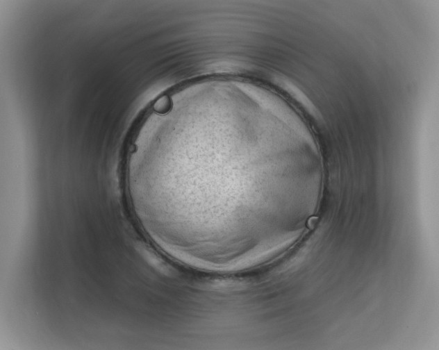 X0000111601026200907301442