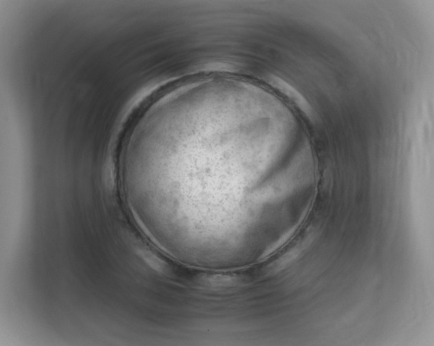 X0000111601027200907301442