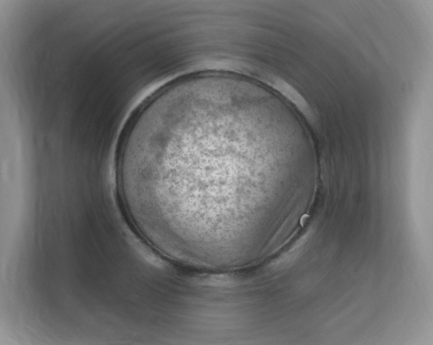 X0000111601028200907301442