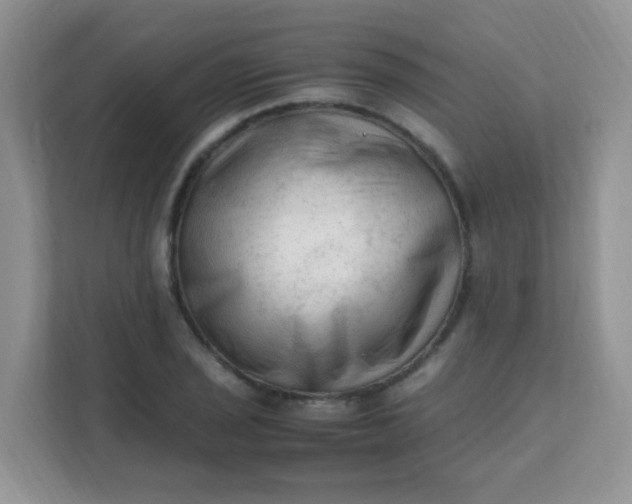 X0000111601029200907301442