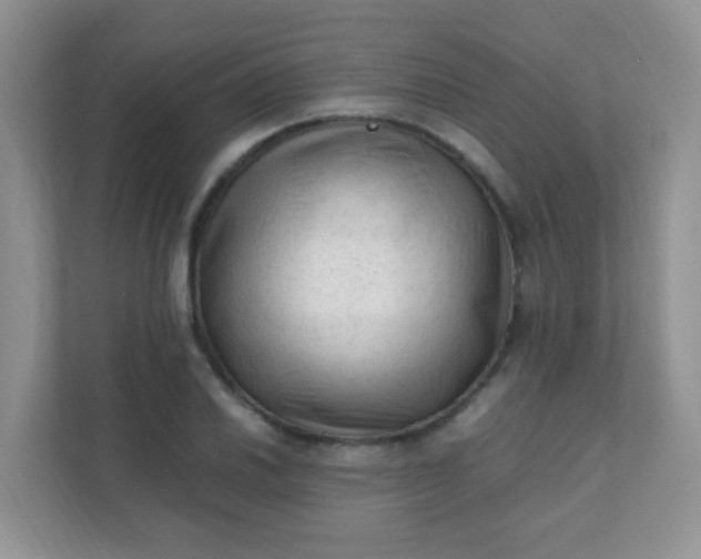 X0000111601030200907301442