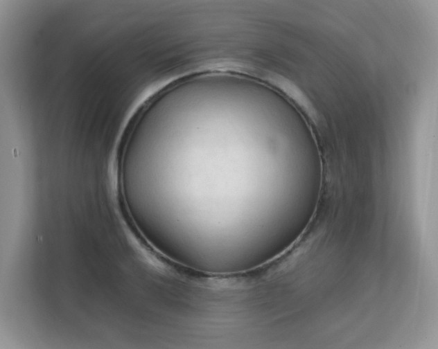 X0000111601032200907301442