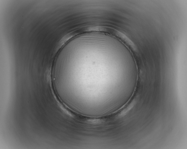 X0000111601033200907301442