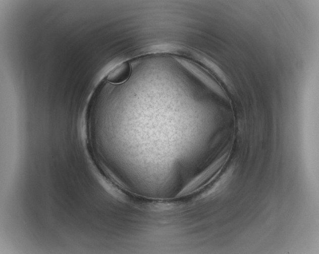 X0000111601034200907301442