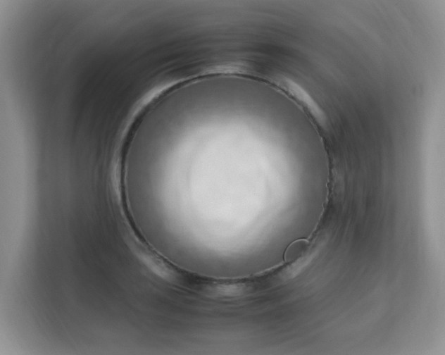 X0000111601035200907301442