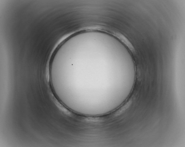 X0000111601036200907301442