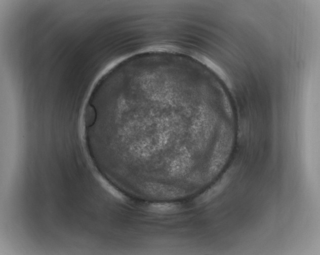 X0000111601037200907301442