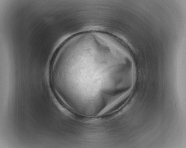 X0000111601038200907301442