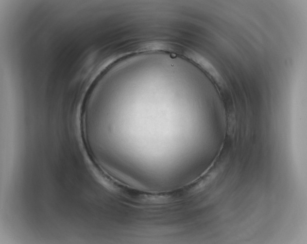 X0000111601039200907301442